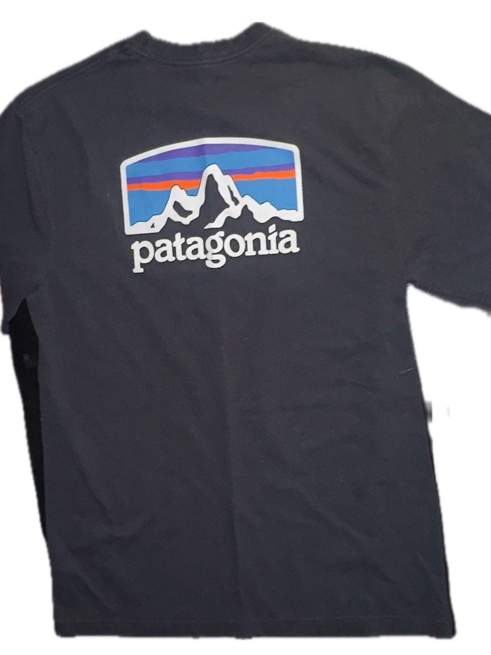 Patagonia Graphic T - Sz M Regular Fit